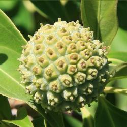 Image: Trevor James © Trevor James 